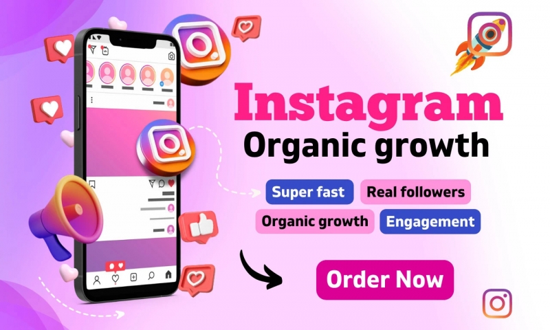 Organic Growth Instagram Followers